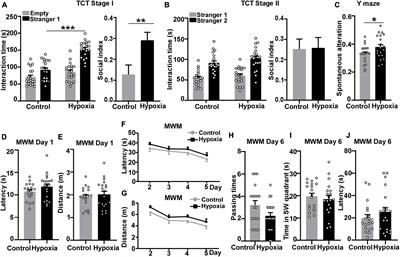 Intermittent hypoxia-induced enhancement of sociability and working memory associates with CNTNAP2 upregulation